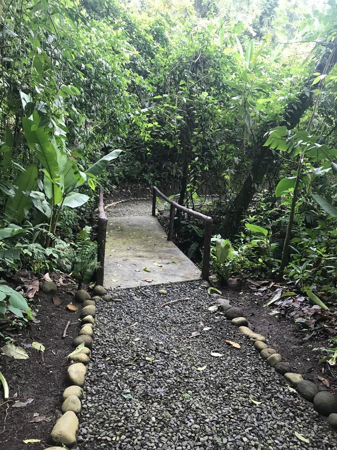 Arenal Roca Suites La Fortuna Exterior foto